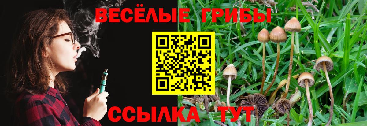 Псилоцибиновые грибы Magic Shrooms Павловский Посад